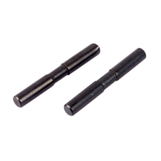 Pasadores trapecios inferiores traseros 1/10