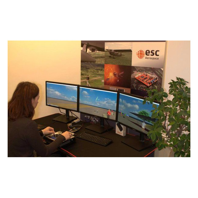 AeroSIM RC + Emisora