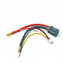 CABLE PARA BATERÍA LIPO 2S C/ MACHOS ORO 4MM, BALANCEADOR Y CONECTOR TRAXXAS