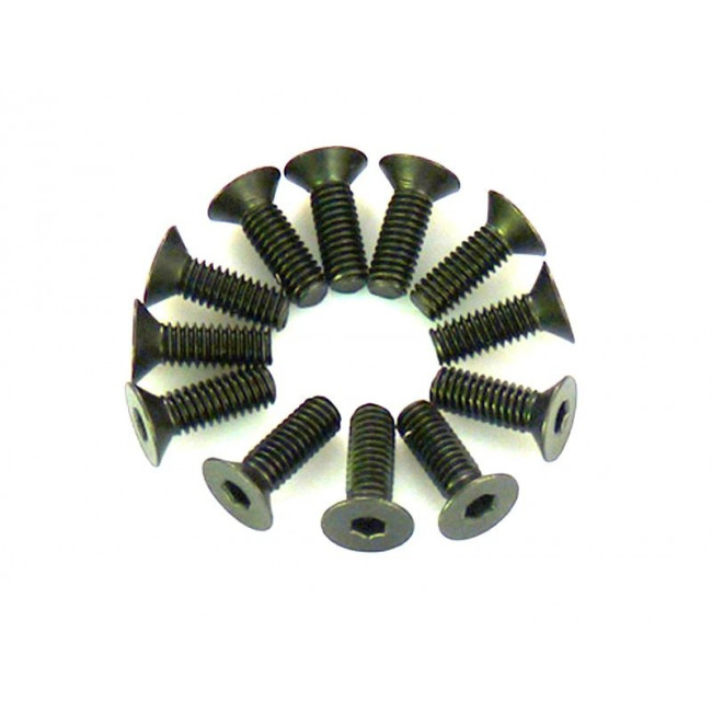 TORNILLOS CABEZA CÓNICA ROSCA MÉTRICA 5X12 (4PCS)