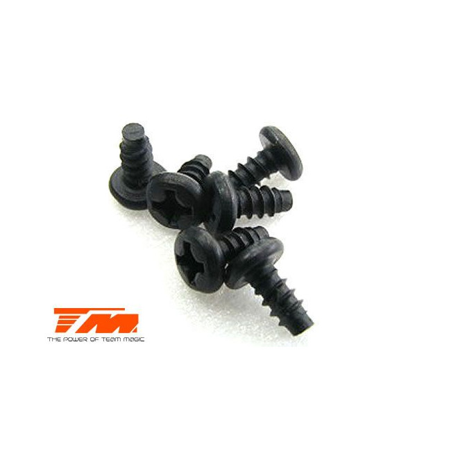 TORNILLOS 3X6 (6PCS)