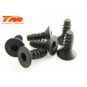 TORNILLOS 3X8 (6PCS)
