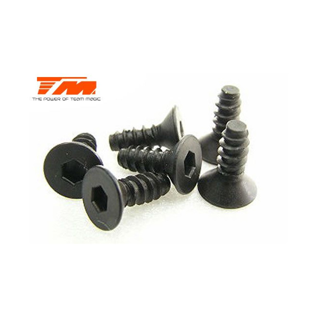 TORNILLOS 3X8 (6PCS)