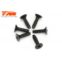 TORNILLOS 3X10 (6PCS)