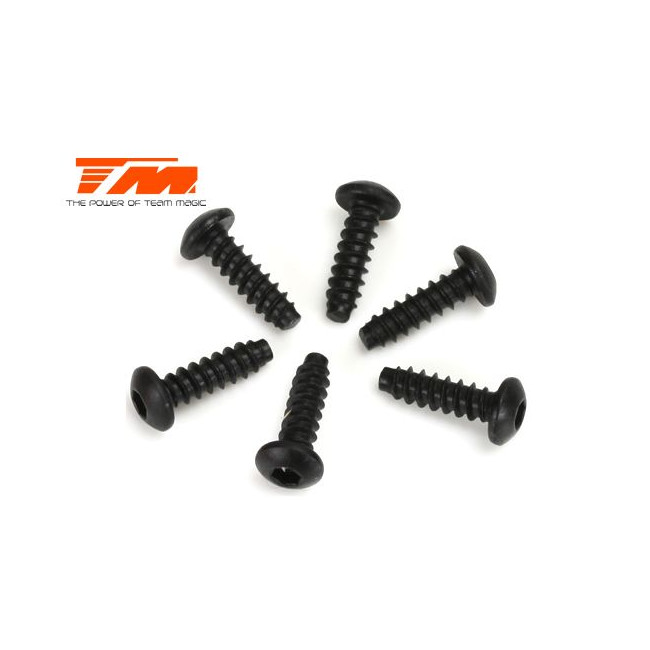TORNILLOS 3X10 (6PCS)