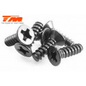TORNILLOS 3X10 (6PCS)