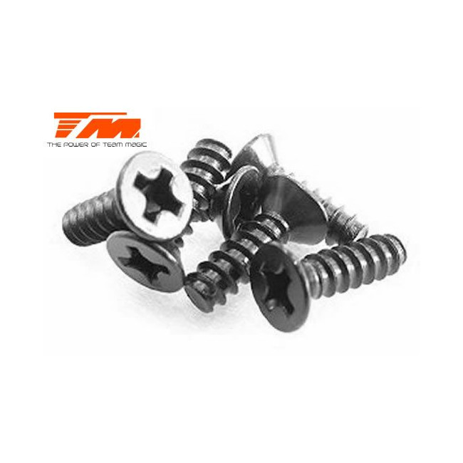 TORNILLOS 3X10 (6PCS)