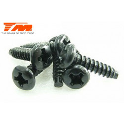 TORNILLOS 3X12 (6PCS)