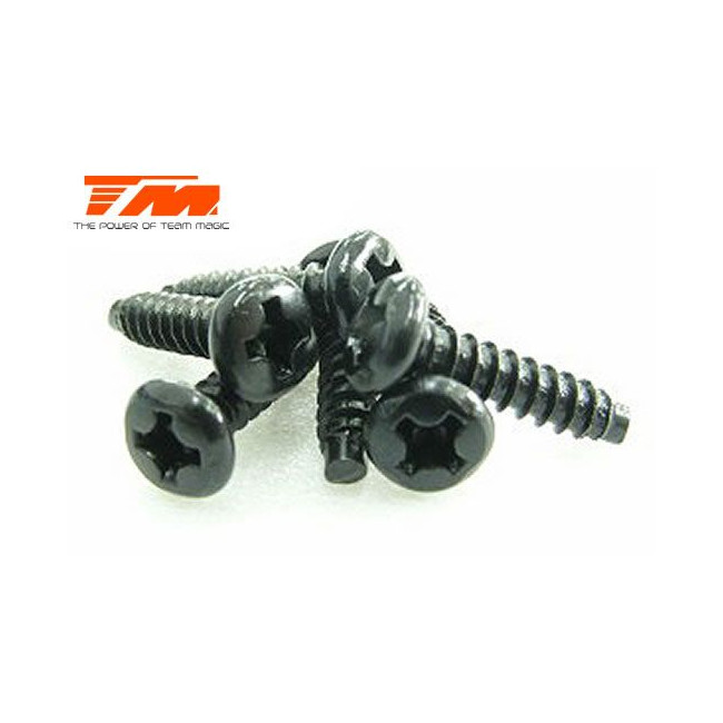 TORNILLOS 3X12 (6PCS)