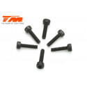 TORNILLOS 2X8 (6PCS)