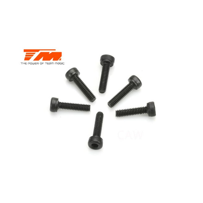 TORNILLOS 2X8 (6PCS)