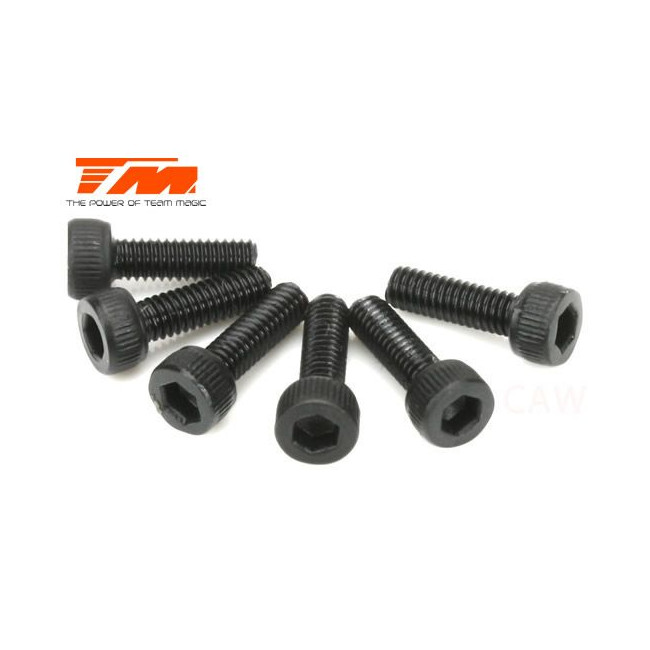 TORNILLOS 2.5X8 (6PCS)