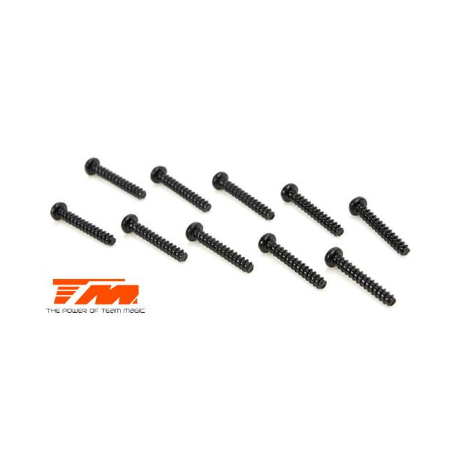 TORNILLOS 2X12 (6PCS)