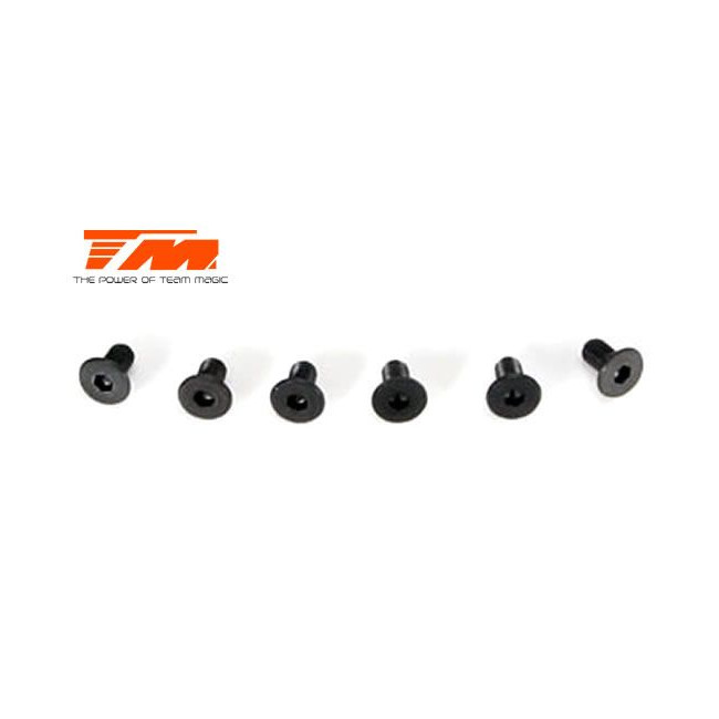 TORNILLOS 3X6 (6PCS)