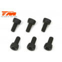 TORNILLOS 3X6 (6PCS)