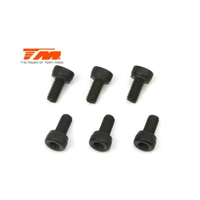 TORNILLOS 3X6 (6PCS)