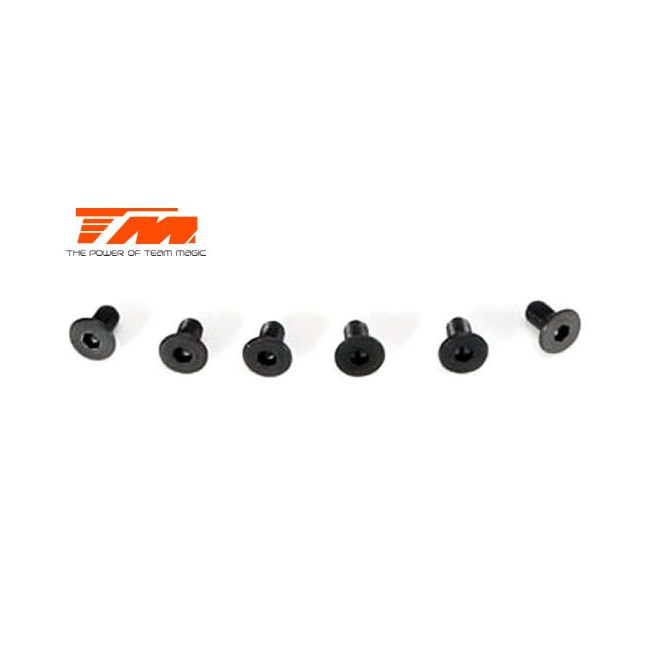 TORNILLOS 3X6 (6PCS)