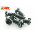 TORNILLOS 3X6 (6PCS)
