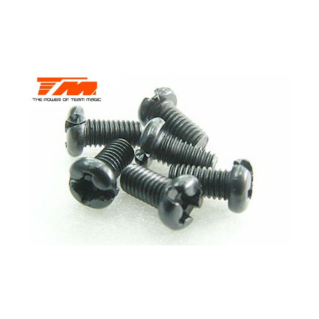 TORNILLOS 3X6 (6PCS)