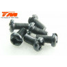 TORNILLOS 3X6 (6PCS)