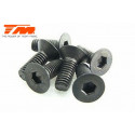TORNILLOS 3X8 (6PCS)