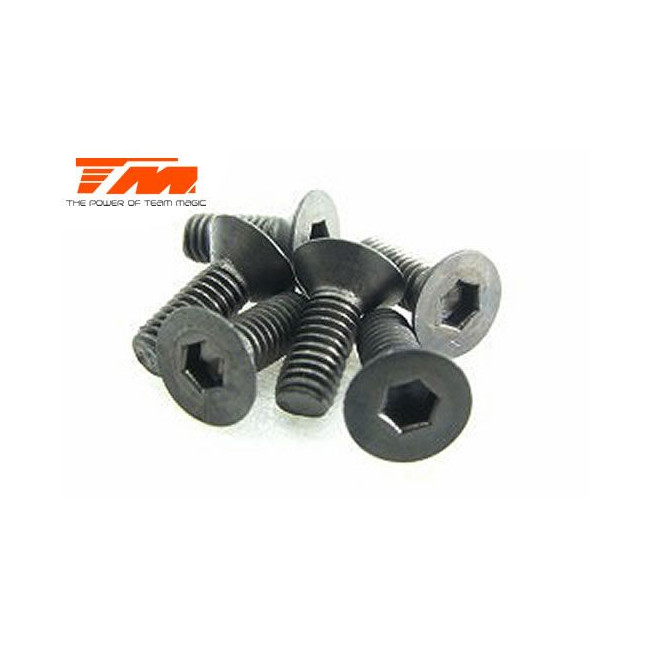 TORNILLOS 3X8 (6PCS)