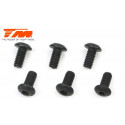 TORNILLOS 3X8 (6PCS)
