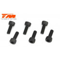 TORNILLOS 3X8 (6PCS)
