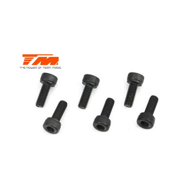 TORNILLOS 3X8 (6PCS)