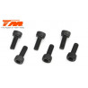 TORNILLOS 3X8 (6PCS)
