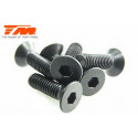 TORNILLOS 3.5X10 (6PCS)