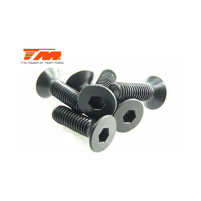 TORNILLOS 3.5X10 (6PCS)