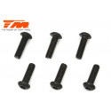 TORNILLOS 3X10 (6PCS)