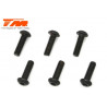 TORNILLOS 3X10 (6PCS)