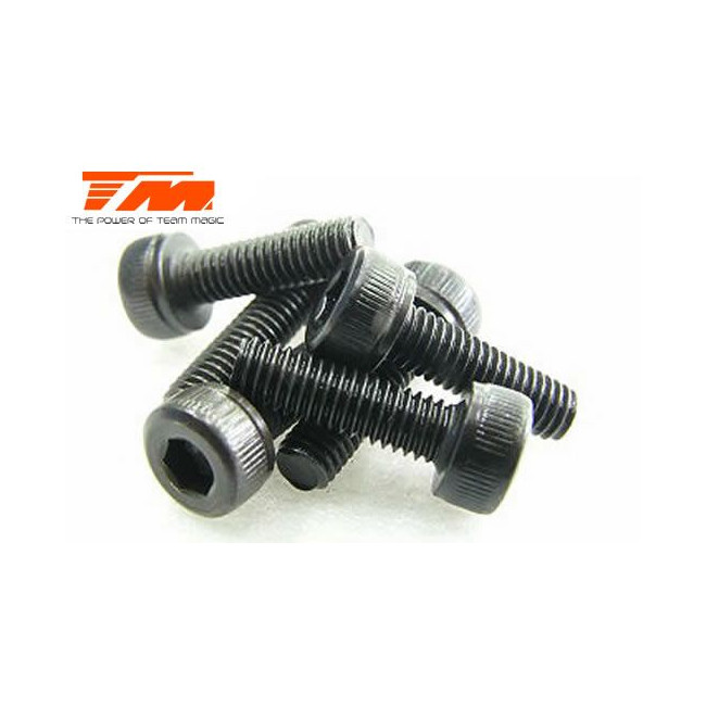 TORNILLOS 3X10 (6PCS)