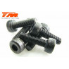 TORNILLOS 3X10 (6PCS)