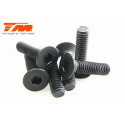 TORNILLOS 3X12 (6PCS)