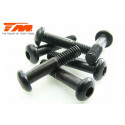 TORNILLOS 3X14 (6PCS)