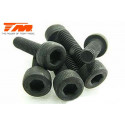 TORNILLOS 3X14 (6PCS)