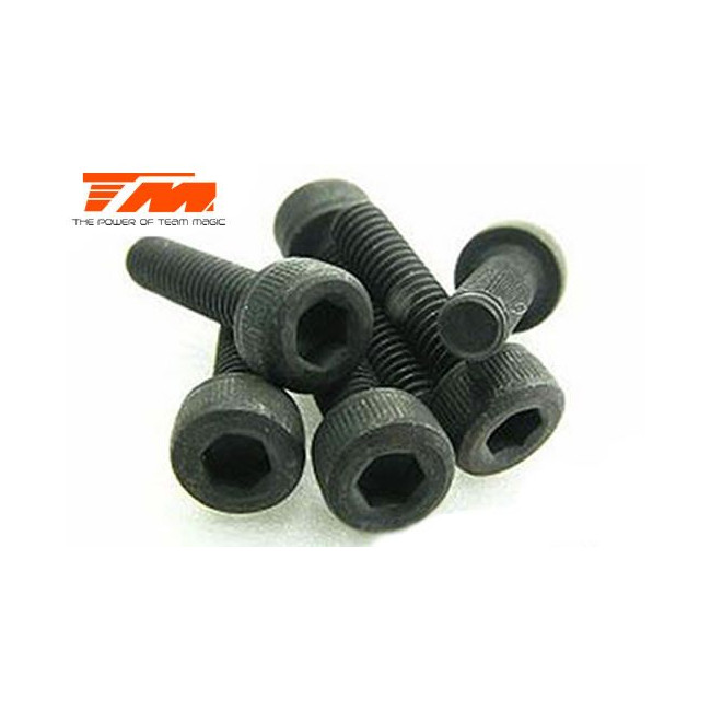 TORNILLOS 3X14 (6PCS)