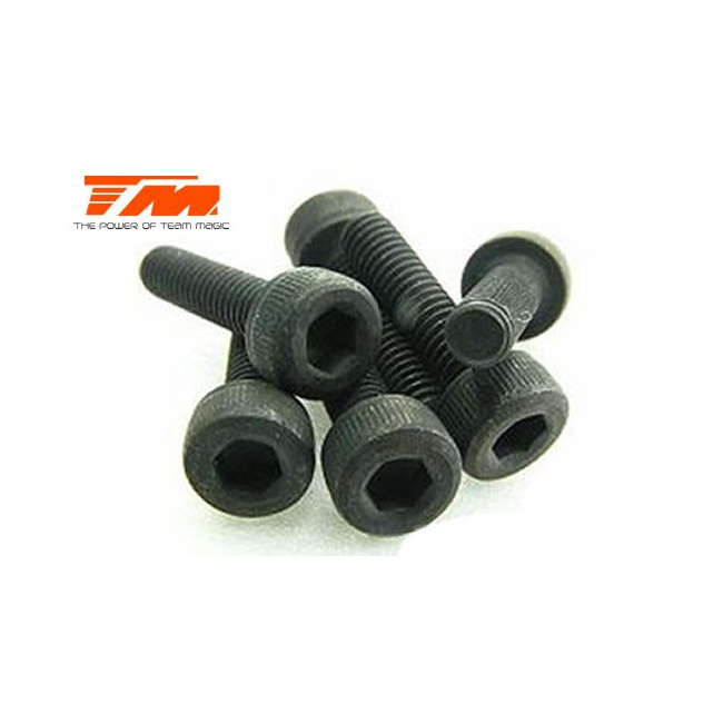 TORNILLOS 3X16 (6PCS)