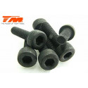 TORNILLOS 3X18 (6PCS)