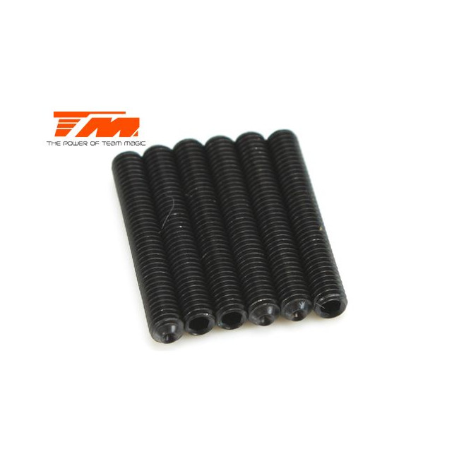 ESPARRAGOS ALLEN 3X20 (6PCS)