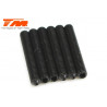 ESPARRAGOS ALLEN 3X20 (6PCS)