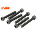 TORNILLOS 3X22 (6PCS)