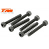 TORNILLOS 3X22 (6PCS)