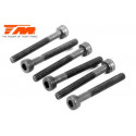 TORNILLOS 3X25 (6PCS)