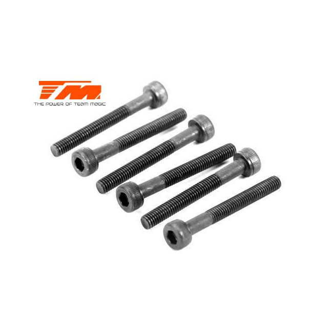 TORNILLOS 3X25 (6PCS)