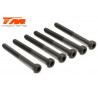 TORNILLOS 3X32 (6PCS)