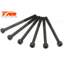 TORNILLOS 3X40 (6PCS)